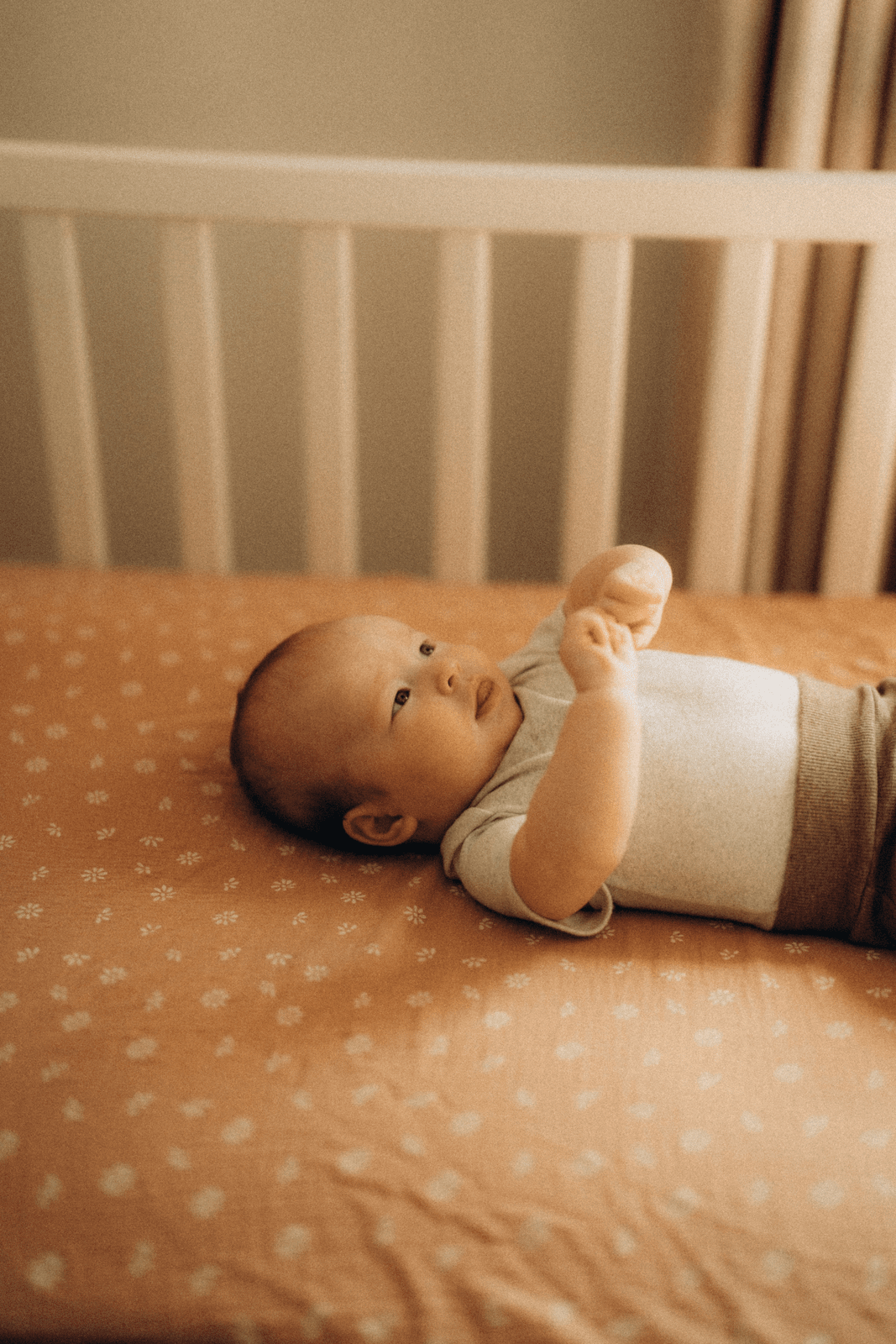 TISU crib sheet, Caramel Daisy - TISU Baby