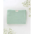 TISU harsopakkaus: harsoviltti Baby Blue + 2-pack